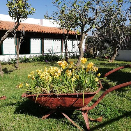 Casa Rural Limon Y Sol Sauzal Exteriör bild