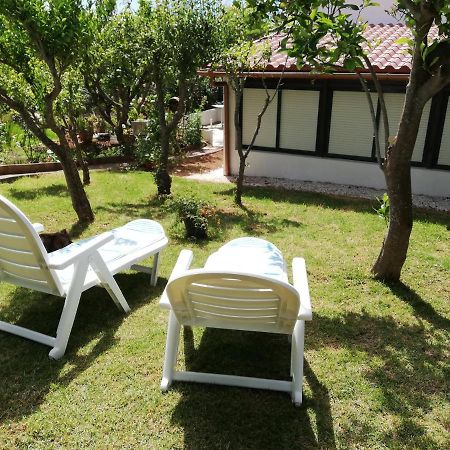 Casa Rural Limon Y Sol Sauzal Exteriör bild