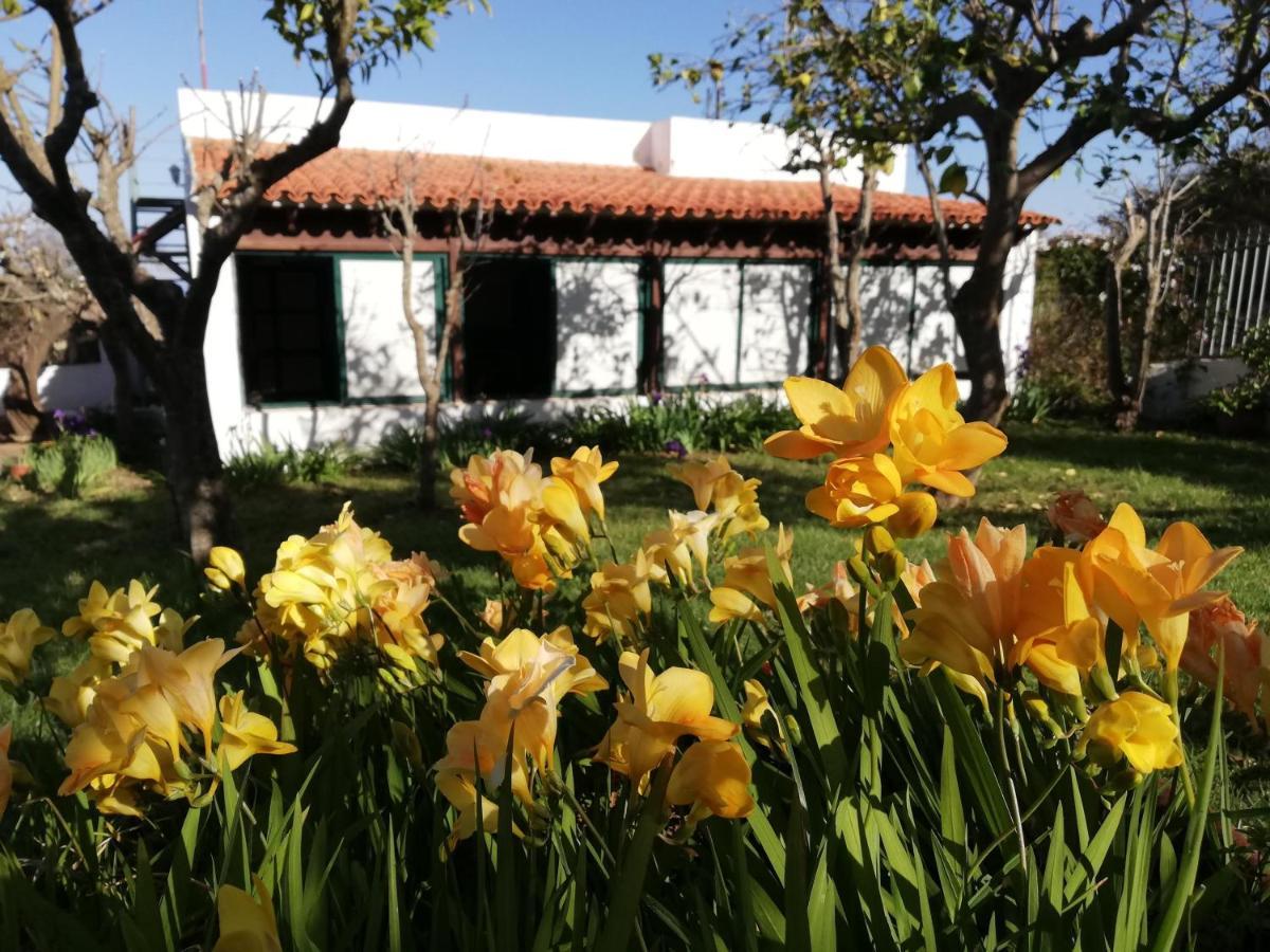 Casa Rural Limon Y Sol Sauzal Exteriör bild