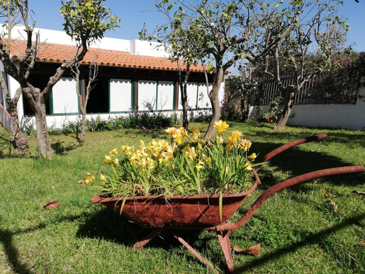 Casa Rural Limon Y Sol Sauzal Exteriör bild