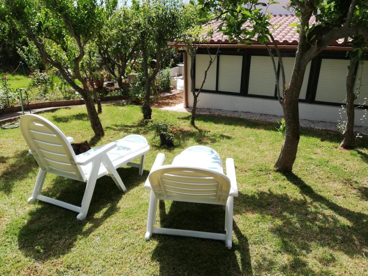 Casa Rural Limon Y Sol Sauzal Exteriör bild