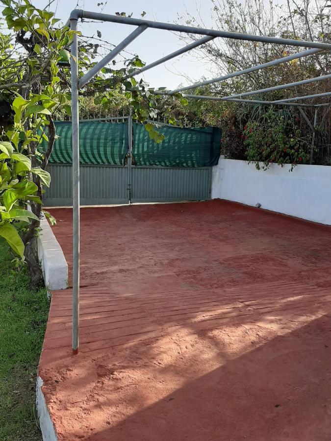 Casa Rural Limon Y Sol Sauzal Exteriör bild